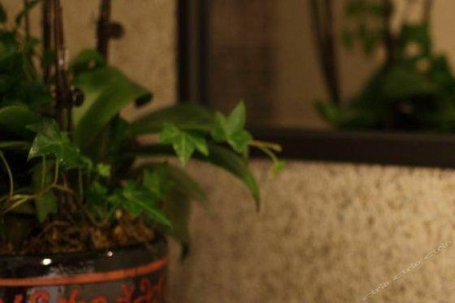 Neobridge Hotel Thượng Hải Ngoại thất bức ảnh